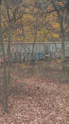 88K views · 2.4K reactions | Queens NY.. Freight Train Moving Through Forest Park.. Forest Park is one of the largest parks in NYC | James Smith | Facebook