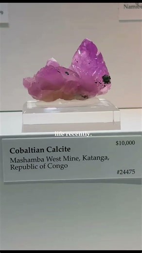 POV: cannot believe nature made these ✨ #shorts