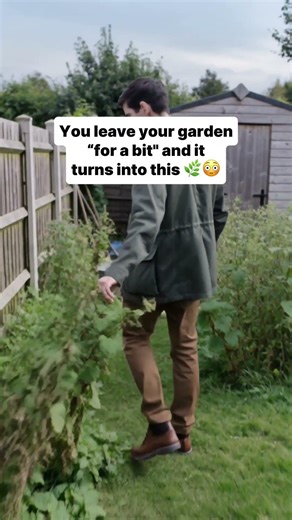 You Left Your Garden Too Long… 🌿😳