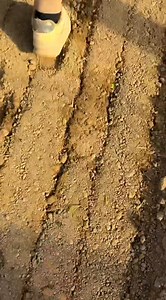 Agriculture advancement modern agriculture | A 4 Adventure