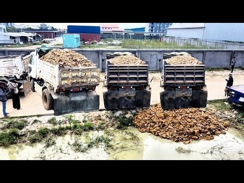 Amazing Working! First Starting KOMATSU D20P Bulldozer And 5 Ton Truck Unloading Into Water