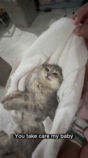 Goodbye, Mommy – I Promise I’ll Watch Over You