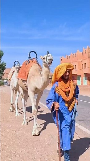 Esplora il Marocco in 8 giorni: Marrakech, kasbah e deserto