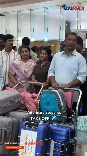 Veterinary dreams taking flight! 🐾