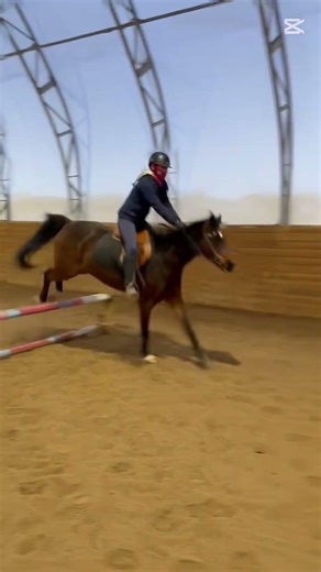 jump lesson with this AMAZING guy!!!