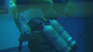 From Jacques Cousteau to combat divers: The expanding role of military diving across every US service branch