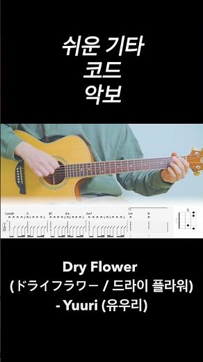 Dry Flower (ドライフラワー / 드라이 플라워) - Yuuri (유우리) 노래 가사 기타 코드 악보 타브 🎸