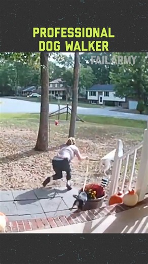 112K views · 564 reactions | 5 Dog Destructions 﫣 | FailArmy | Facebook