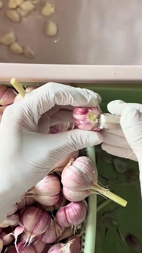 #asmr #satisfying #fyp #peeling | Eoto Raro