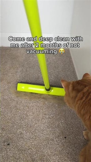 Disgusting or satisfying? What do you think?🤣💀🫣