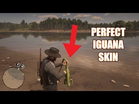 Red Dead Redemption 2 - Perfect Iguana Skin Location