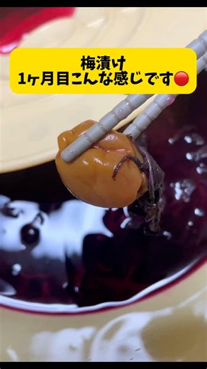 簡単程よい塩味の酸っぱくない梅干し漬けて。1ヶ月の様子です。作り方は過去ショート動画をご覧下さい😅 #梅干し #梅漬け