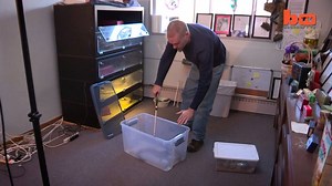 Venom Man: Man Gets Bitten By Deadly Snakes In Bid To Find Vaccine http://barcroft.tv/venom-man-snake-enthusiast-takes-back-to-back-bites-to-prove-he-is-immune-to-deadly-toxins #Snakes #Venom #deadly | truly