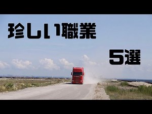 珍しい職業5選⭐️