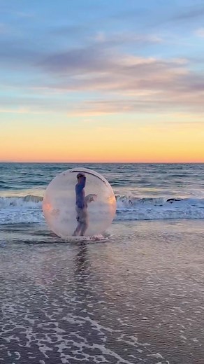 Hamster Ball Sunset Adventure Gone Wrong! 🌅😳