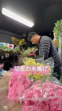 It's a simple but important task. The serious work of a florist harvesting flowers.