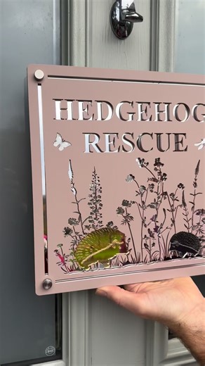 For a Hedgehog rehabilitation unit… I was sooooo excited to do these. ❤️🦔🦔🦔🦔🦔🦔🦔🦔🦔🦔🦔🦔🦔🦔🦔🦔🦔 | The Design Den