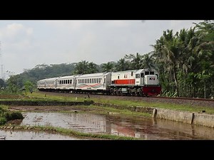 Enjoy The Train Passing By In The Java Countryside | Java Railfanning