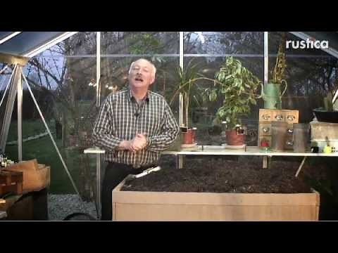 How to properly arrange your greenhouse