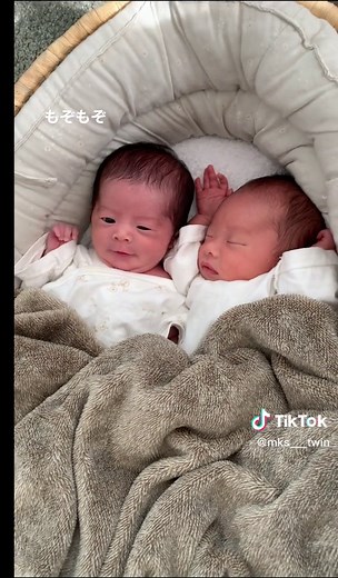 双子の成長記録と可愛い日常