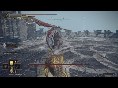 ELDEN RING Commandant Nial defeated