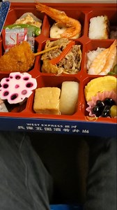 Dinner Bento Box on Bullet Train to Tokyo! ✔️💯🧑‍🎄🚄🚄🚄🇯🇵🇯🇵🇯🇵 | Ericsurf6