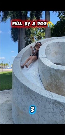 Wait Till The END😱🤣 #funny #viral #australia #respect #humor #usa #fail #fails