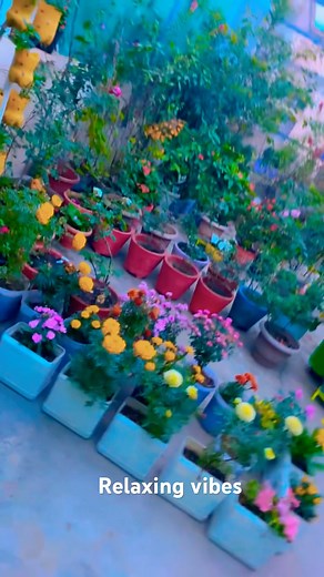 Happy gardening 💐peaceful vibes 🟢#garden #naturelovers #shortsviral