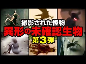 【映像】撮影された怪物 異形の未確認生物 第３弾