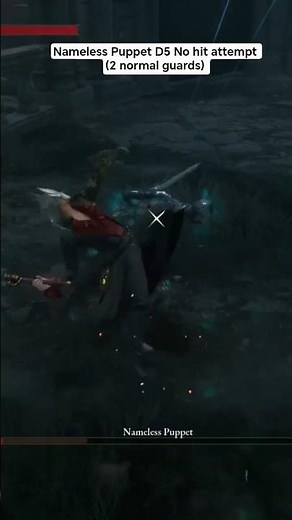 Nameless Puppet D5 no hit attempt (2 normal guards) No heal