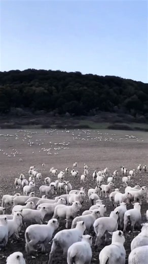 Así es pequeño.. #niñointerior #parati #fyp #motivation | carro