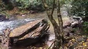 Looking Glass Falls Monday. | Blueridgenow