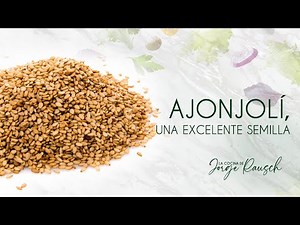 Ajonjolí, una exelente semilla / 30 Alimentos Saludables con Jorge Rausch