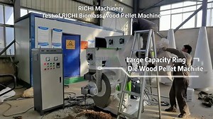 Biomass Pellet Machine in Action | Efficient Pelletizing Solutions for Renewable Energy