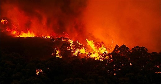 Nature:Survivors of the Firestorm Season 29 Episode 11