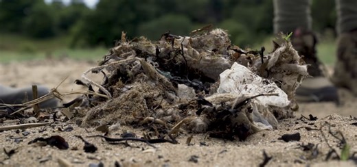 "We're Finding 500 Wet Wipes Every Time": Scotland's Hidden Pollution Crisis