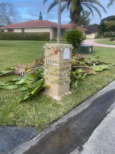 Modern mailbox By Mailbox Factory FL, Custom Mailbox fabrication and Installation call us 786-583-4659 aluminum material - powder coating - paint - Floating numbers - Box (Approved by the USPS) - Solar lights - Base and pebbles (Additional price) #mailboxes #mail #solarlights #mailboxflorida #mailboxesfl #frame #aluminummailbox #aluminum #powdercoating #powdercoatedframe #metalmailbox #mailbox #coralsprings #coralspringsfl #coralspringsflorida #coralspringsrealtor #browardcountyfl