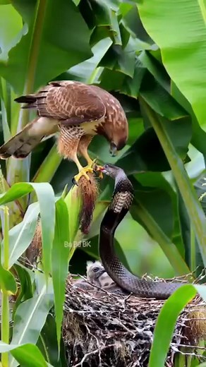 Pavan Kumar on Reels