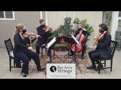 I Choose You (Sara Bareilles) ~ Bay Area Strings