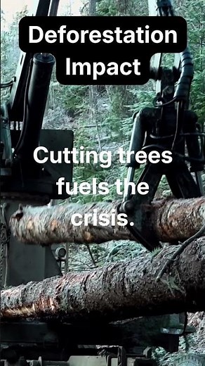 How Deforestation Fuels the Climate Crisis #climatechange #globalwarming