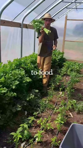 Turning Wild Plants into Delicious, Edible Food