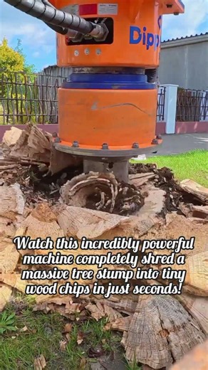 Powerful Drill Attachment Shreds Wood Stump In Seconds