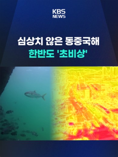 최근 동중국해의 수온이 심상치 않습니다. 역대 두 번째로 높은 수준으로, 올여름 한반도를 덮칠 폭염과 폭우에 대한 우려가 커지고 있습니다. #폭염#폭우#동중국해#고수온#한반도#여름#날씨#이상기후#지구온난화 #KBS#KBSNEWS