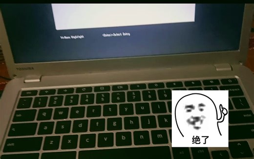 ChromeBook运行Windows