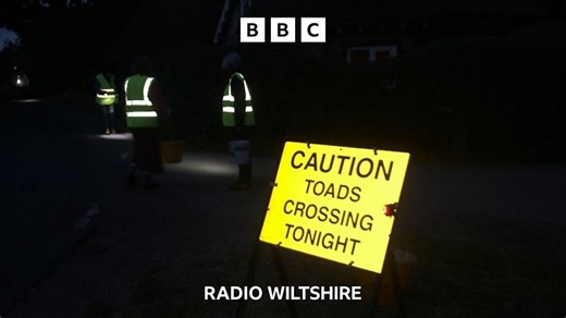 Warminster Toad Patrol - BBC Sounds