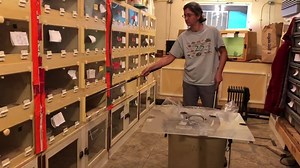 Kentucky Reptile Zoo on Reels