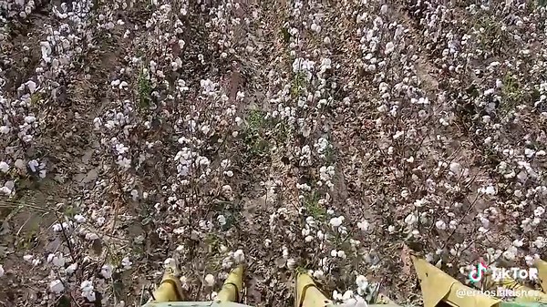 Erdos (@erdos.aldshev)’s videos with original sound - EL_MUROD