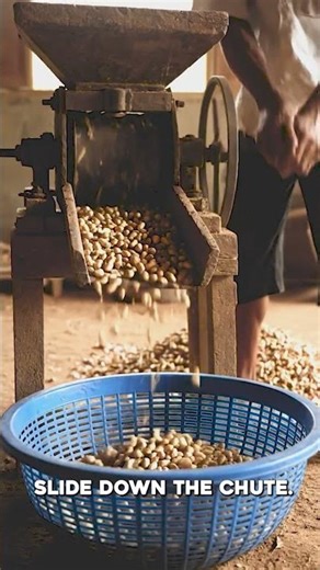 How a Peanut Shelling Machine Works