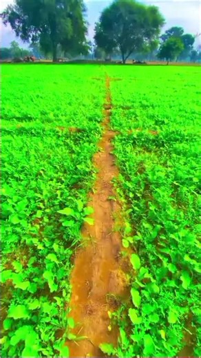 maspi 2.0 (@maspi2.2)’s videos with original sound - maspi 2.0