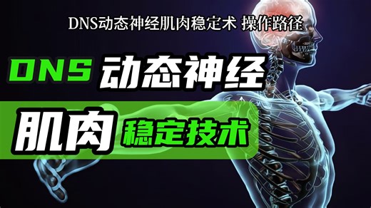 DNS动态神经肌肉稳定技术---一套评估与治疗技术